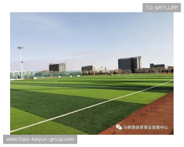 推动乡村体育基础设施发展成果的内容报道计划，乡村体育治理